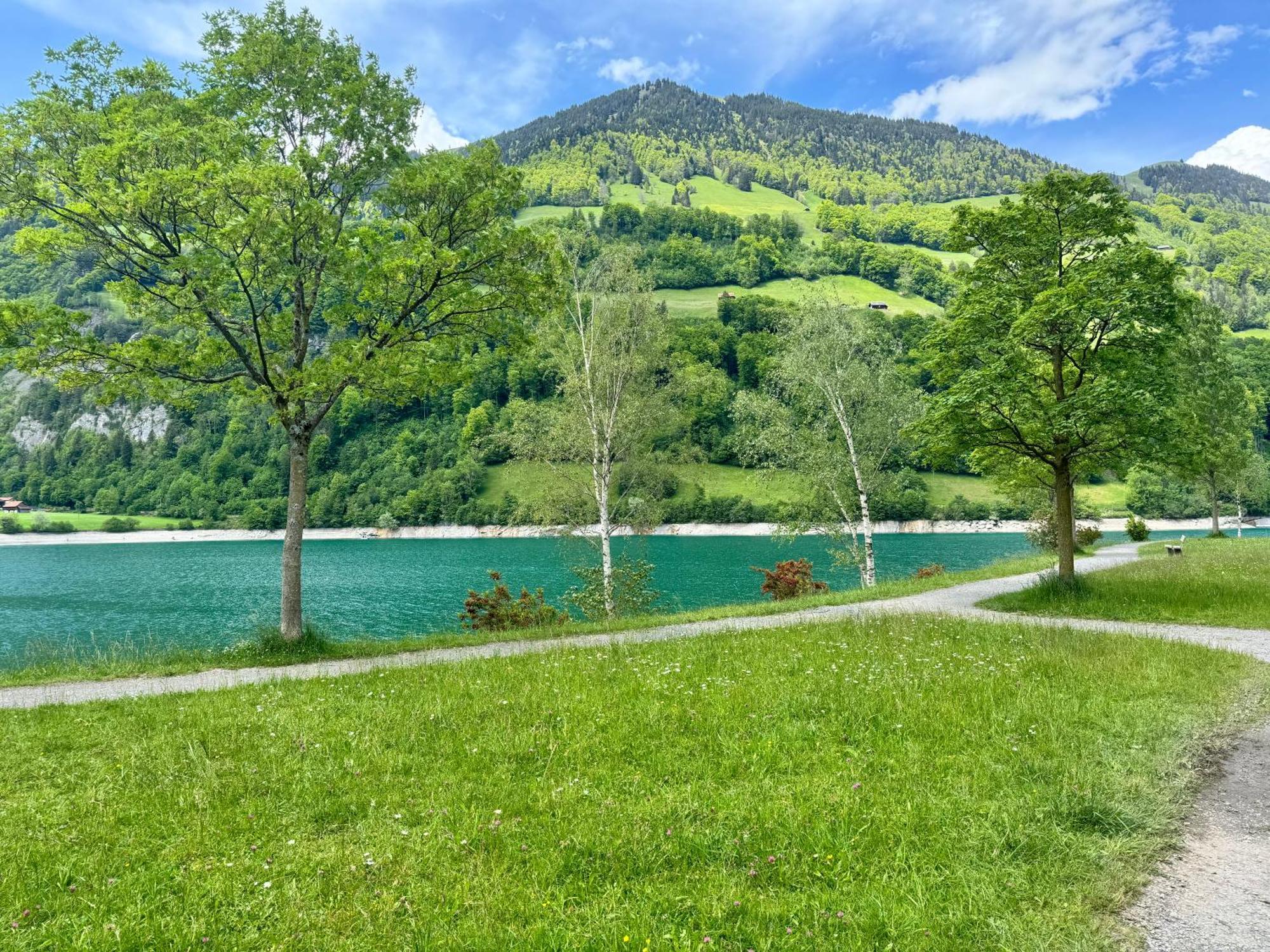 Bijou N 2 Apartment Lungern