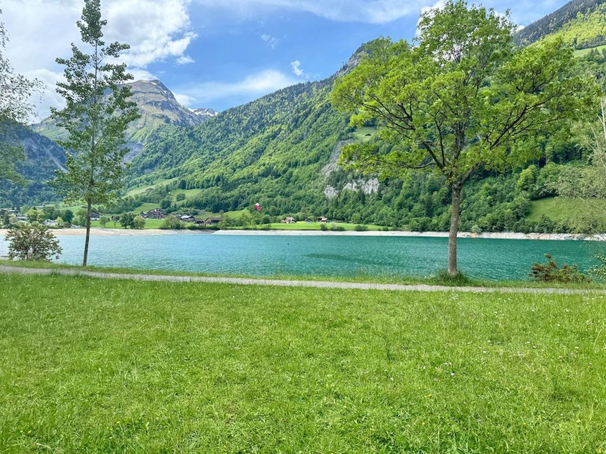 Bijou N 2 Apartment Lungern