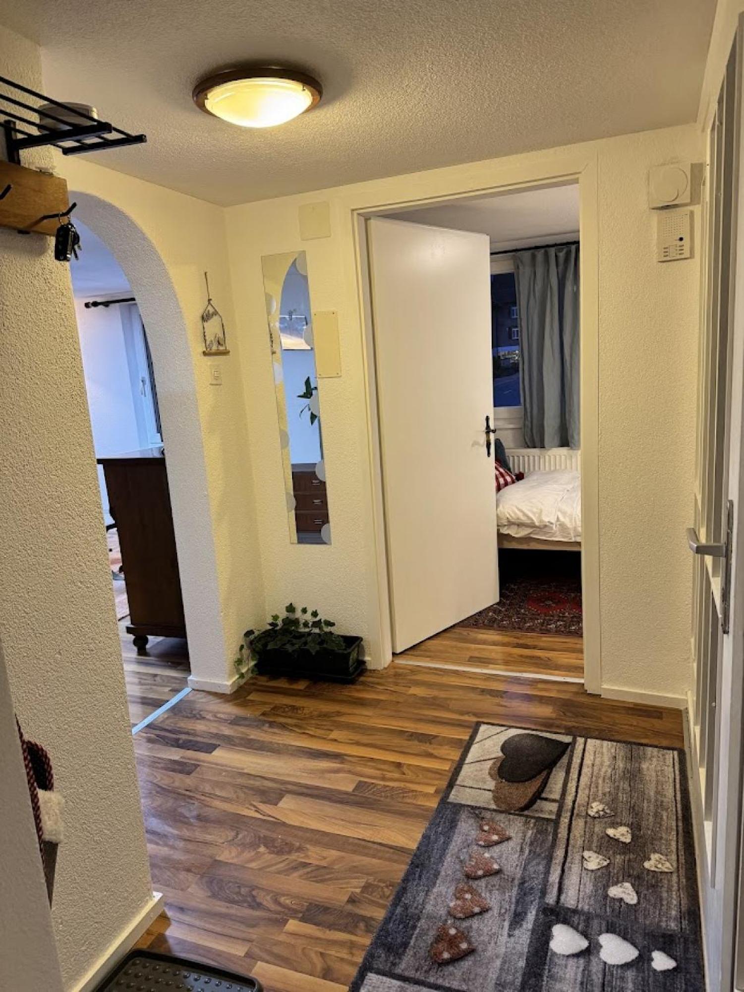 Bijou N 2 Apartment Lungern